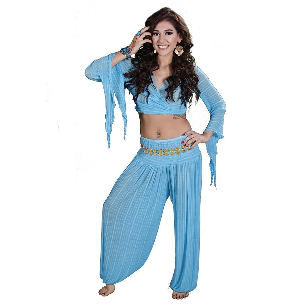 Belly Dance Harem Pants & Choli Top Costume Set | SHEER HAREM