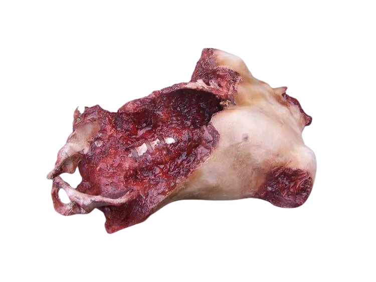 Deluxe Gore Torso