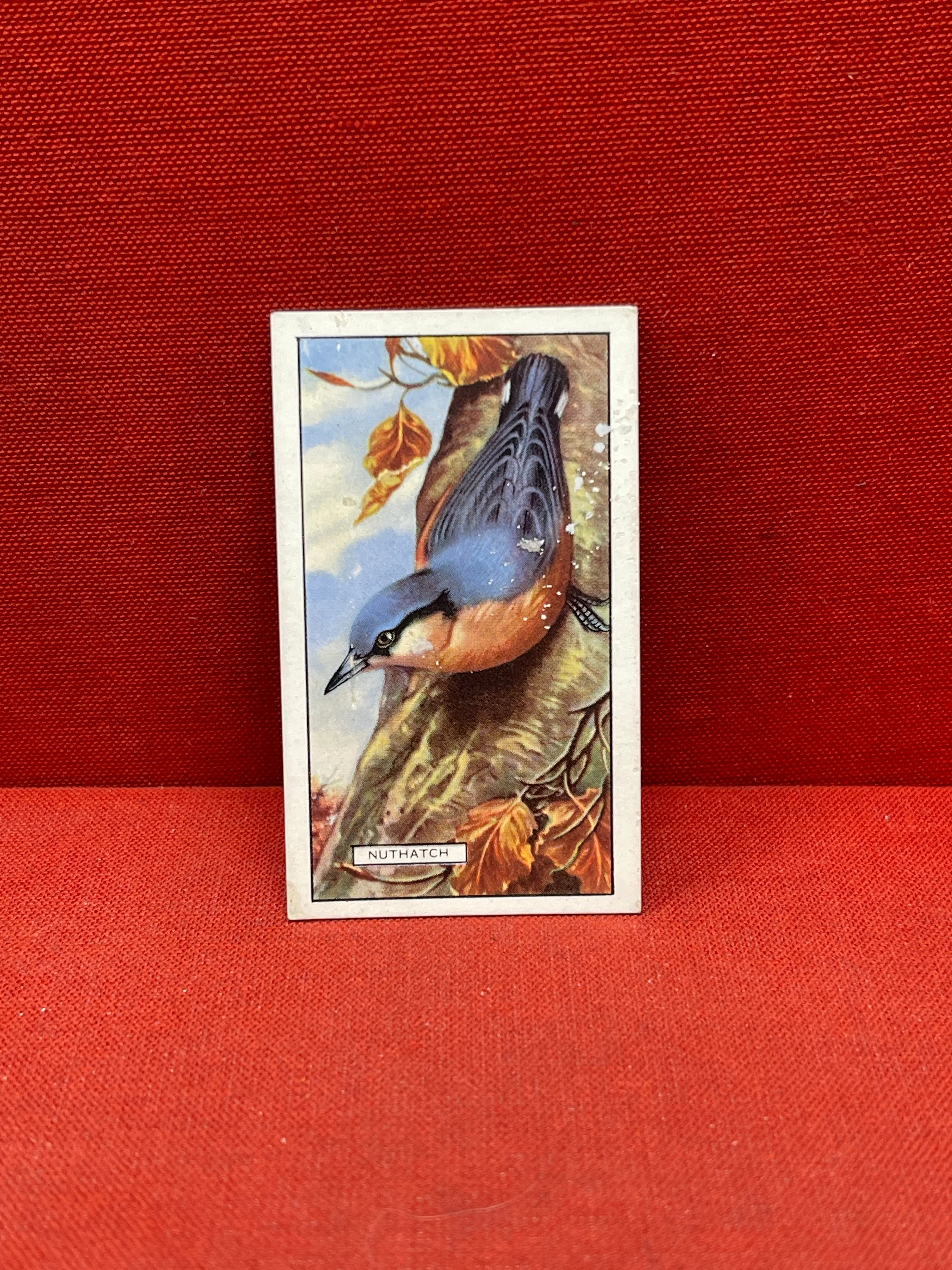 Gallaher Ltd British Birds Cigarette Cards 1937