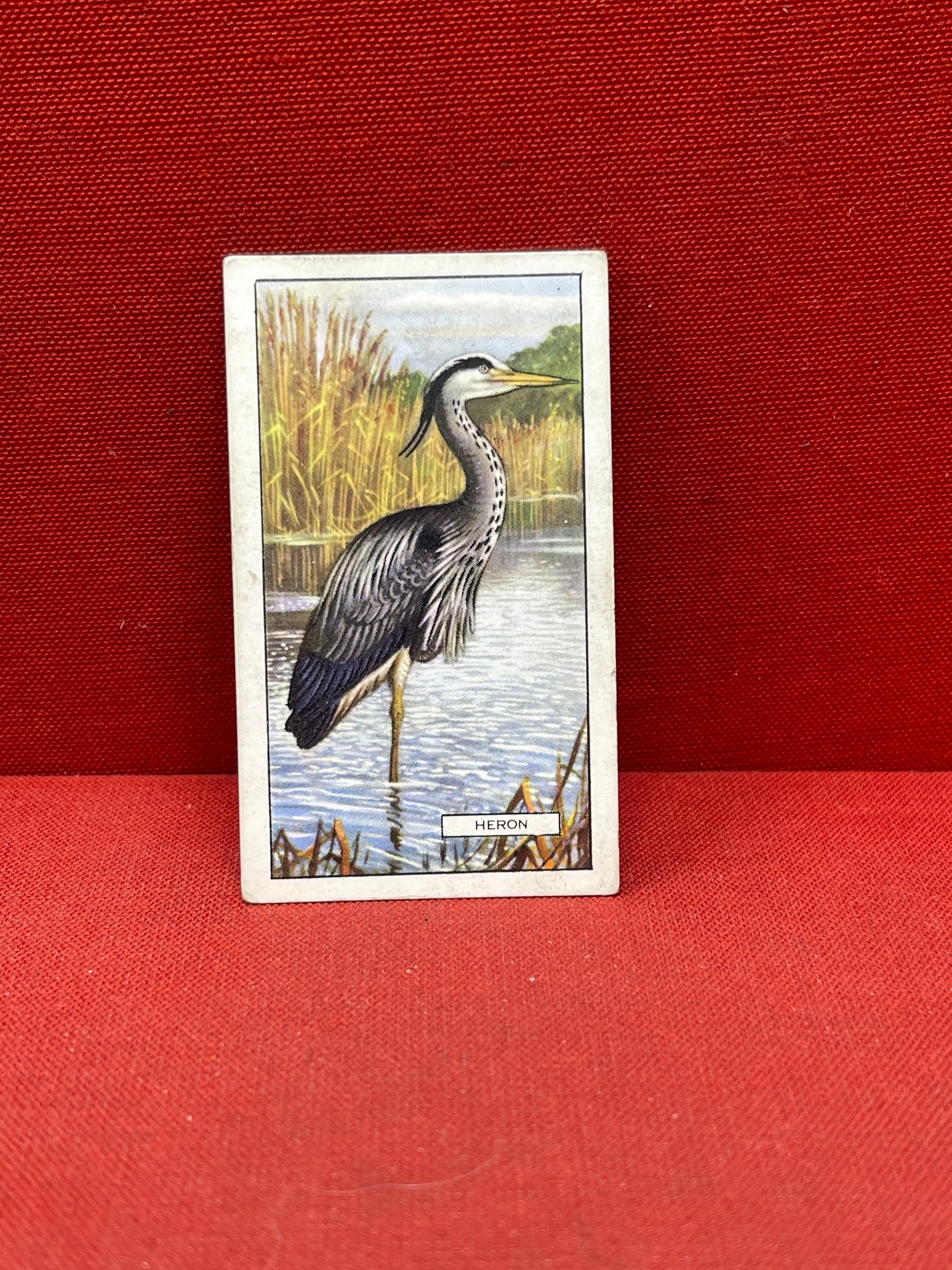 Gallaher Ltd British Birds Cigarette Cards 1937