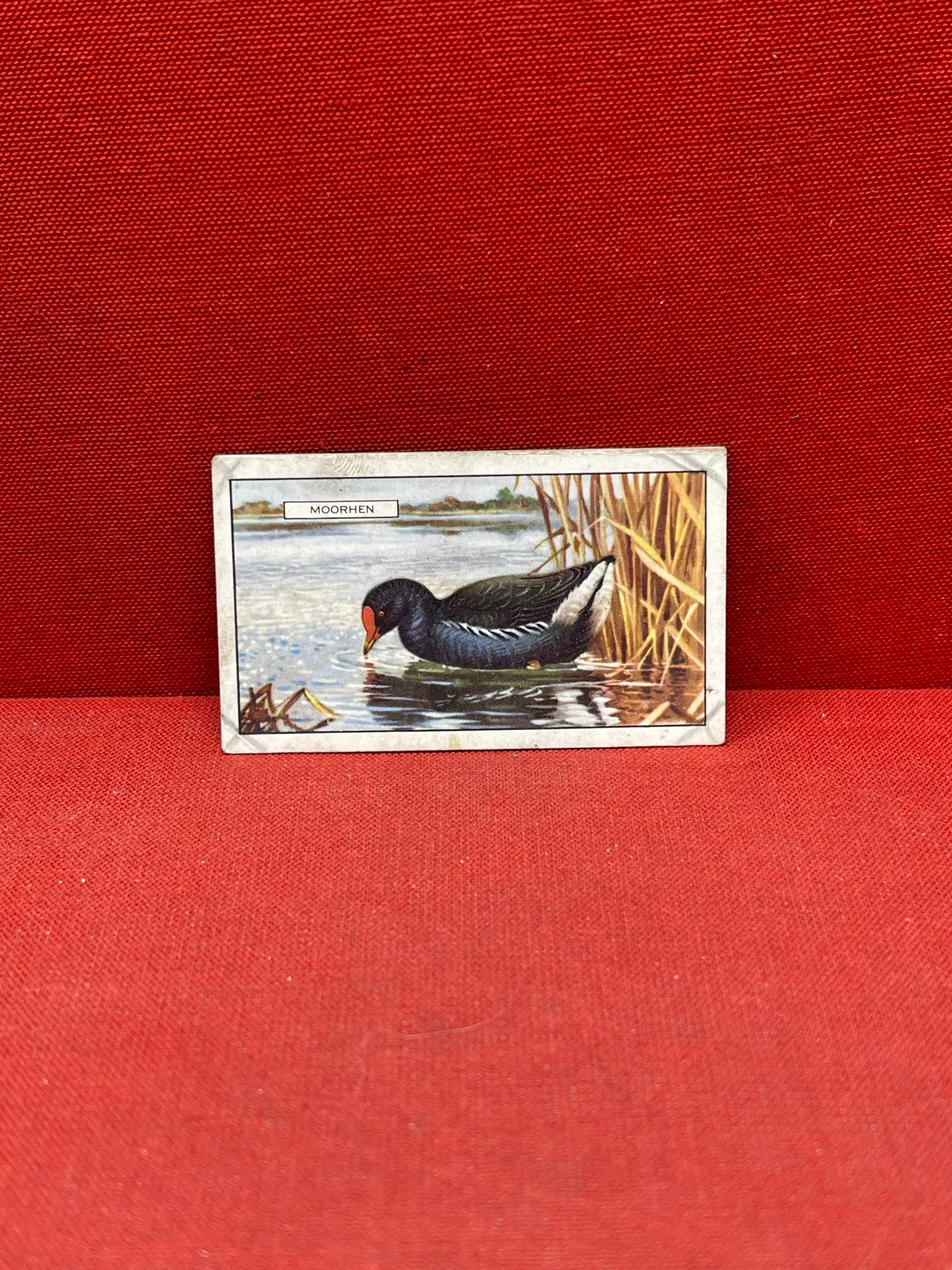 Gallaher Ltd British Birds Cigarette Cards 1937