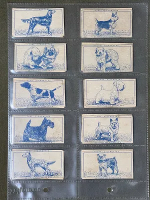 Turf Cigarettes 50 Famous Dog Breeds Cigerette Cards 1956