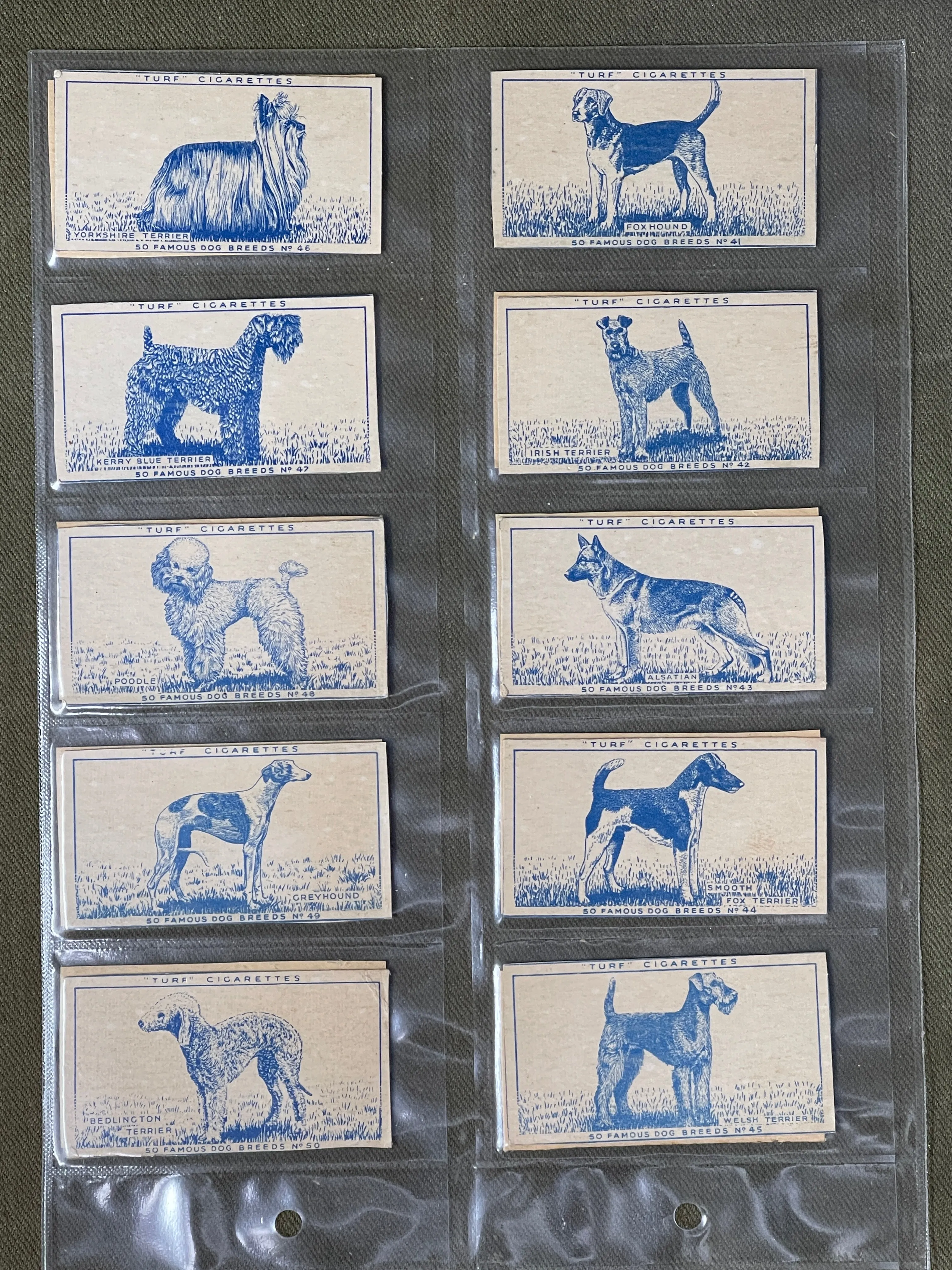 Turf Cigarettes 50 Famous Dog Breeds Cigerette Cards 1956