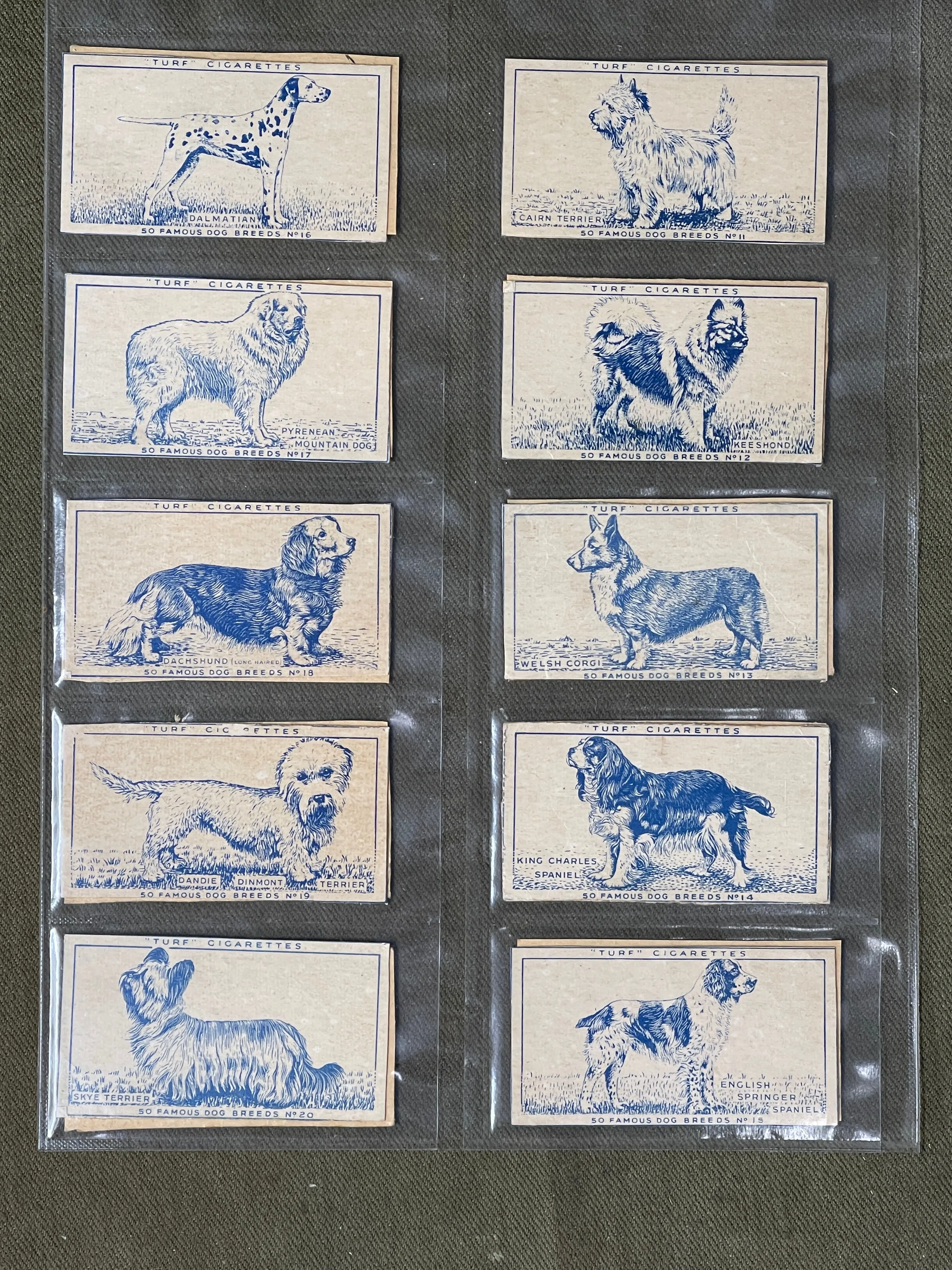 Turf Cigarettes 50 Famous Dog Breeds Cigerette Cards 1956